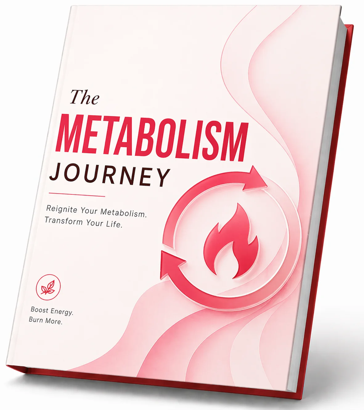 The Metabolism Journey, a free digital bonus with the JellyThin 6-bottle pack